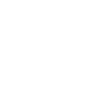 change language icon